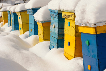 Wintering Supplies
