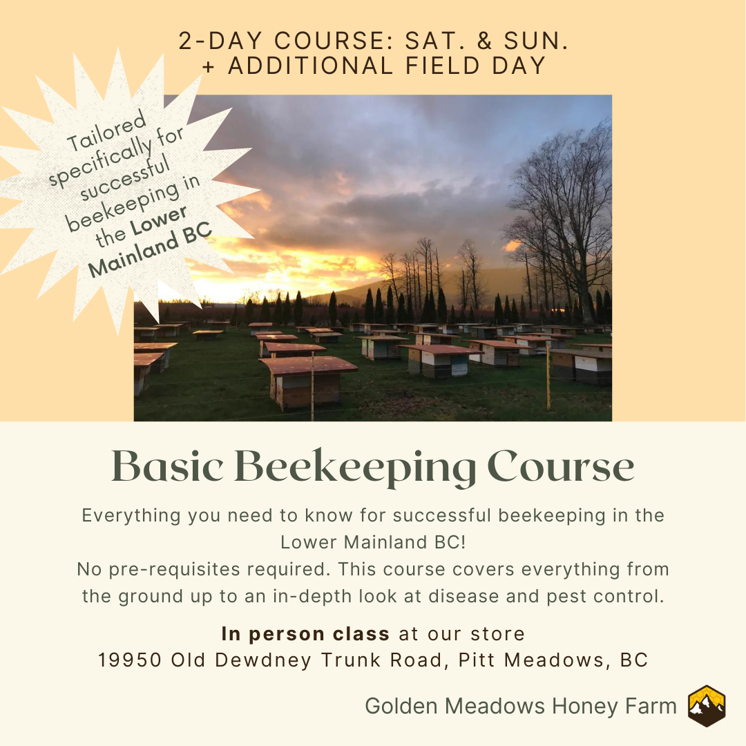 Beekeeping Course