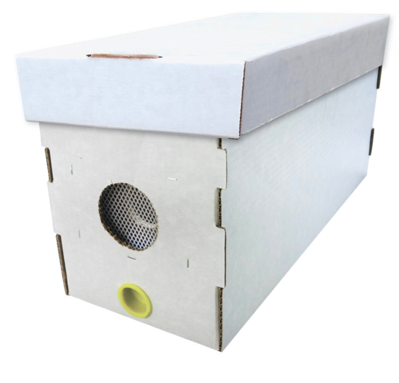 Coated Cardboard Nucleus (Nuc) Boxes for Transportation